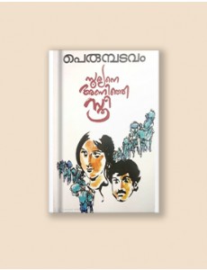 സൂര്യനെ അണിഞ്ഞ സ്ത്രീ